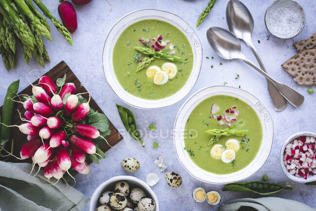 Green asparagus soup with radishes and eggs — Stock Photo