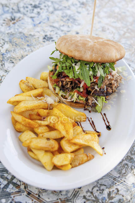 Pulled Pork Burger with french fries — Stock Photo