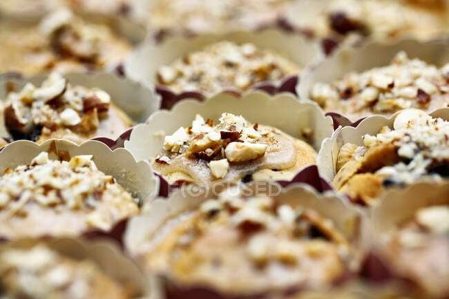 Close-up shot of delicious Hazelnut and chocolate muffins — Stock Photo