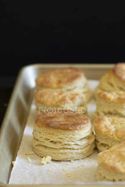 Southern biscuits on a baking tray — Stock Photo