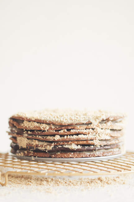 Honig rustikale Kuchen auf weißem Teller — Stockfoto