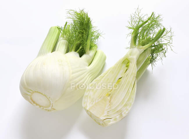 Fresh fennel, whole and halved on a white background — Stock Photo