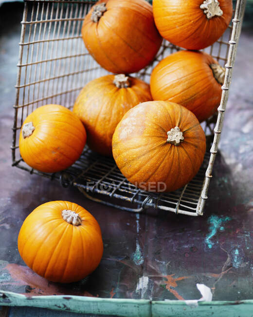 Pumpkins in a basket — Stock Photo