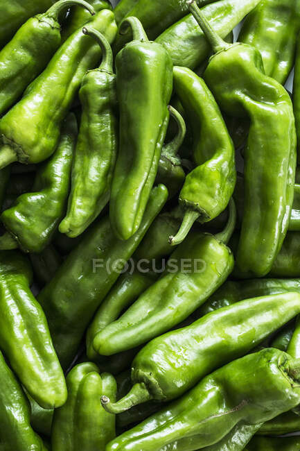Chiles verdes, tiro de cerca - foto de stock