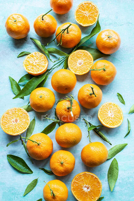 Clementines on blue background close-up view — Stock Photo