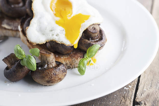 Funghi sul pane tostato con un uovo gocciolante in cima — Foto stock