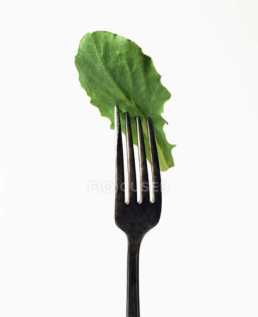 Lettuce leaf on a fork — Stock Photo