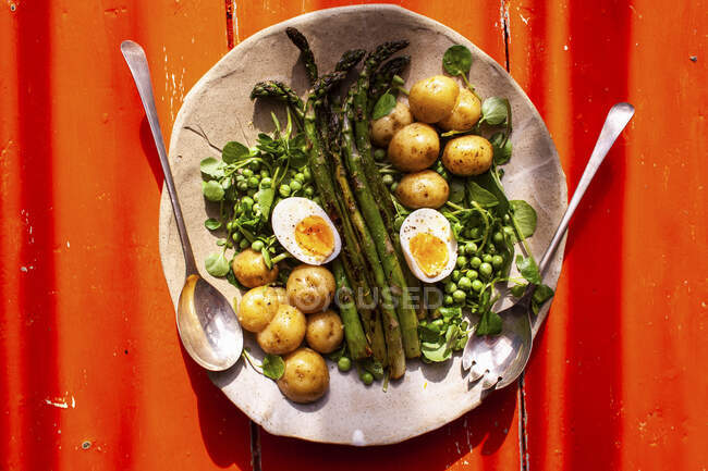 Espárragos verdes con guisantes, patatas y huevos cocidos - foto de stock