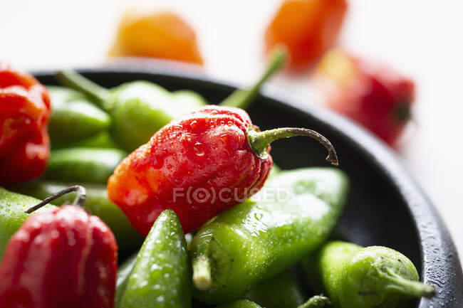 Various red and green chilli peppers in a bowl (close-up) — Stock Photo