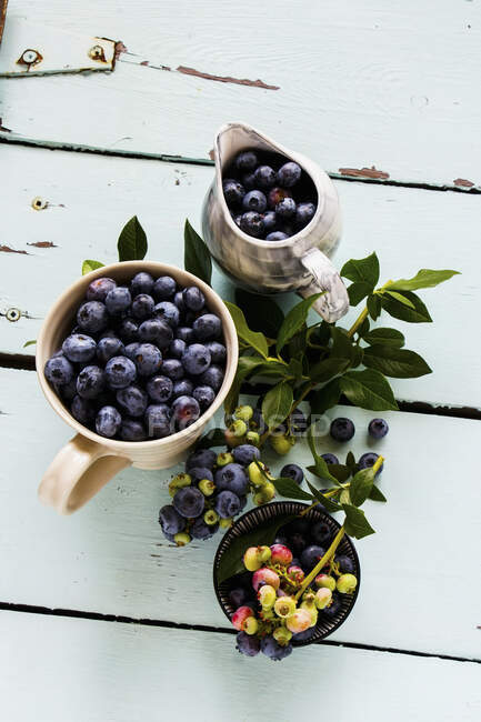 Fresh blueberries in jug, mug and bowl with green leaves on table — Stock Photo