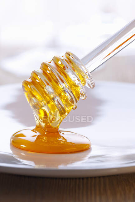 Close-up shot of Honey spoon on a pot of honey — Stock Photo
