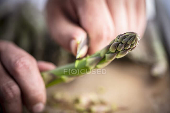 Green asparagus being prepared — Stock Photo