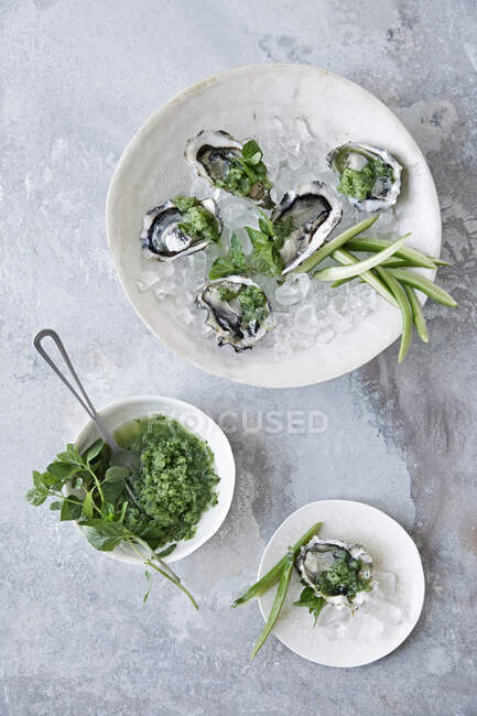Oysters with cucumber granita and mint — Stock Photo