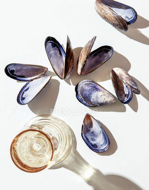 Close-up shot of delicious Mussels — Stock Photo
