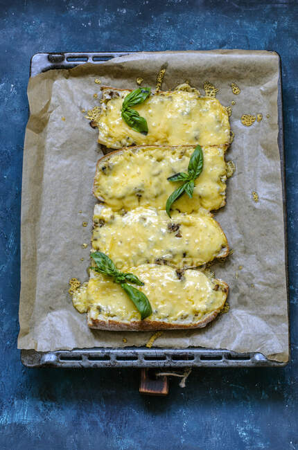 Baguette bruschettas with cheese, baked in tin — Stock Photo