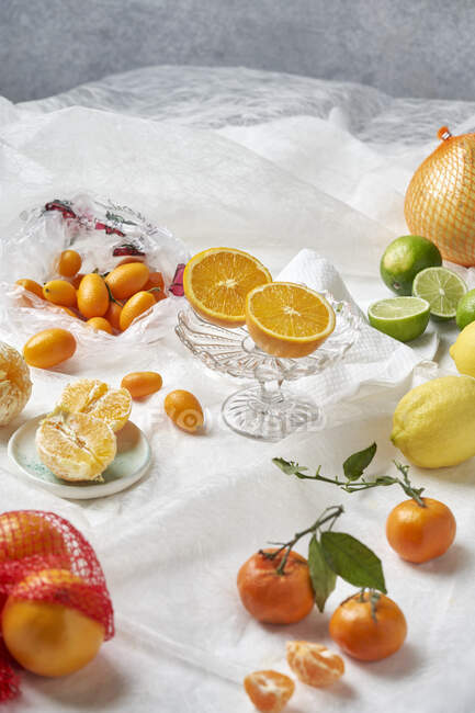 Verschiedene Zitrusfrüchte: Zitronen, Limetten, Kumquats, Pomelo, Mandarinen und Orangen — Stockfoto