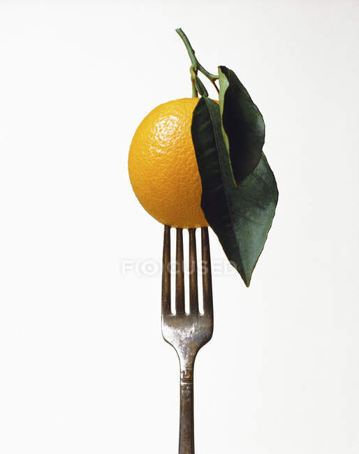 Naranja en un tenedor - foto de stock