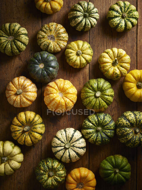 Close-up shot of delicious Pumpkins — Stock Photo
