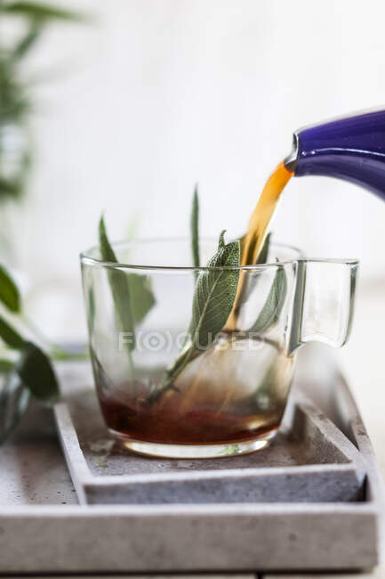 Meramieh-Tee (schwarzer Tee mit frischem Salbei) wird in eine Tasse gegossen — Stockfoto