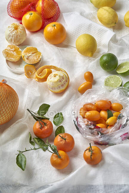Diversos cítricos: limones, limas, kumquats, pomelo, mandarinas y naranjas - foto de stock