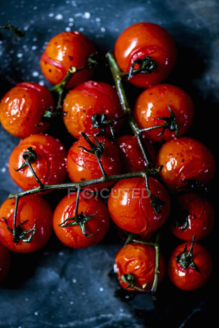 Tomate rôtie sur la vigne — Photo de stock