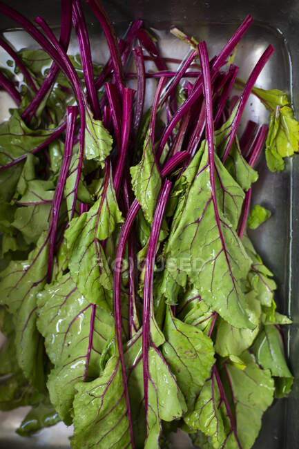 Verduras verdes frescas sobre un fondo de madera - foto de stock