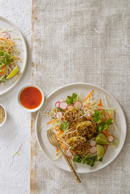 Thai fish cakes with crunchy salad and chili dipping sauce — Stock Photo