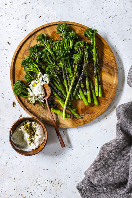 Зеленый салат с травами и специями на белой тарелке — стоковое фото