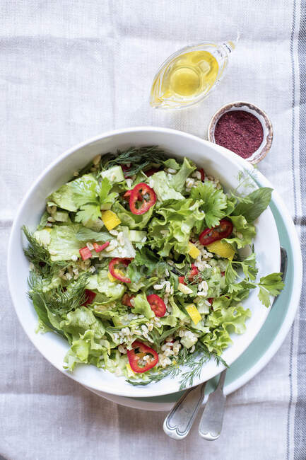 Grüner Salat mit Perlgerste — Stockfoto