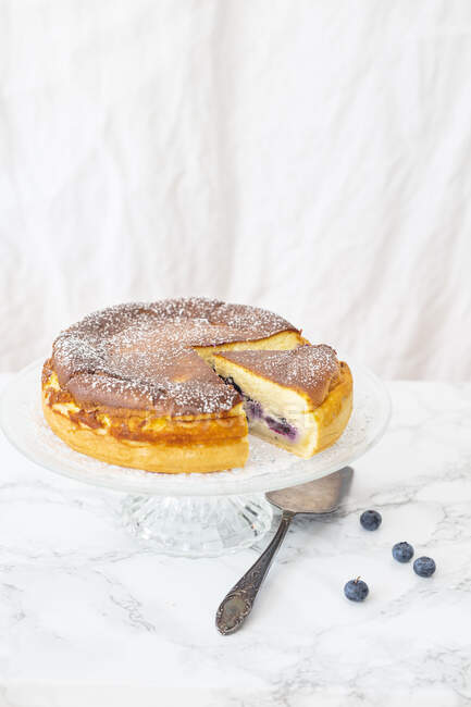 Primer plano de delicioso pastel de queso Blueberry - foto de stock