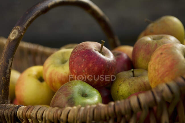 Various types of apples in basket, close up shot — Stock Photo
