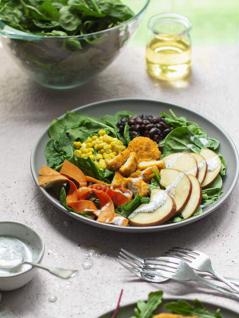 Southwest crispy chicken salad with creamy dressing — Stock Photo