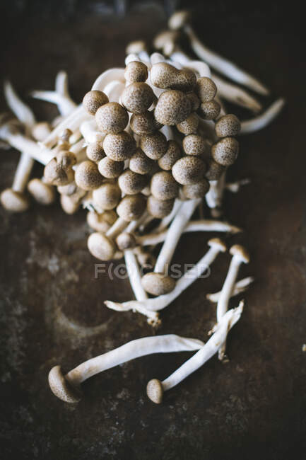 Зблизька купка висушених грибів у тарілці над дерев'яним столом. — стокове фото
