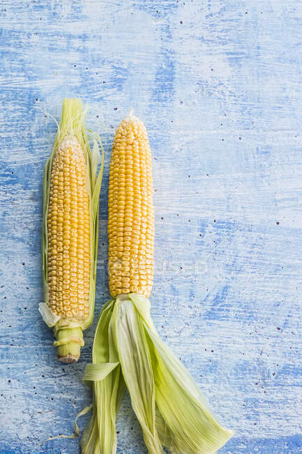 Close-up shot of delicious Two corncobs — Stock Photo