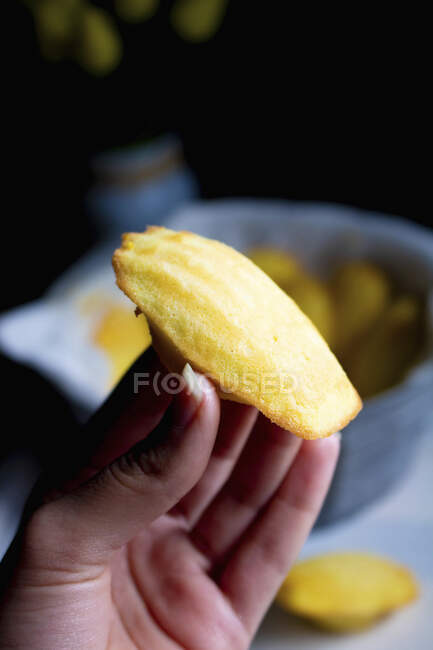 Madeleines in female hands — Stock Photo