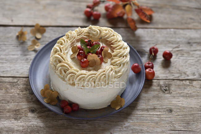 Vegan apple and almond cream cake with date caramel and mini apples — Stock Photo