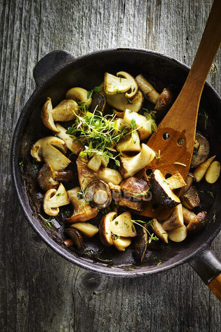 Delicious Fried mushrooms with cress in pan with wooden spatula — Stock Photo