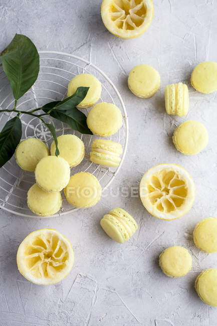 Mini-Zitronenmacarons mit grünen Blättern und ausgepressten Zitronen — Stockfoto