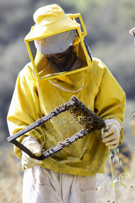 Зберігач бджіл оглядає вулик — стокове фото