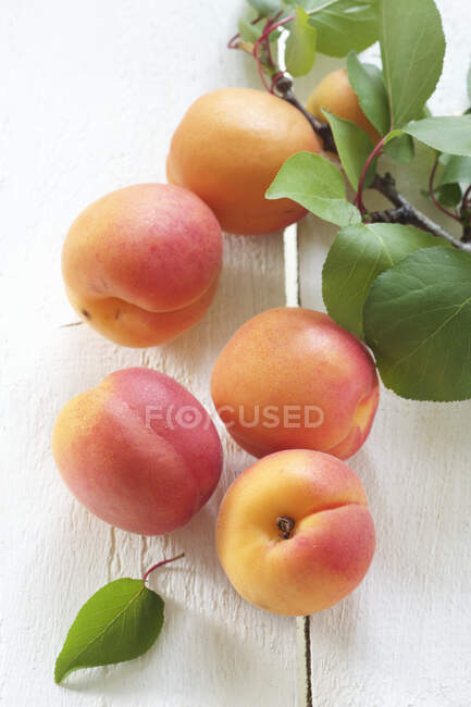 Abricots frais avec des feuilles vertes sur une surface en bois blanc — Photo de stock