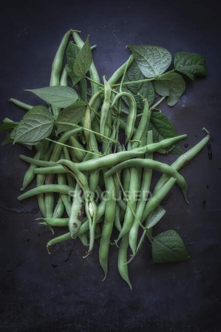 Green runner beans with leaves — Stock Photo