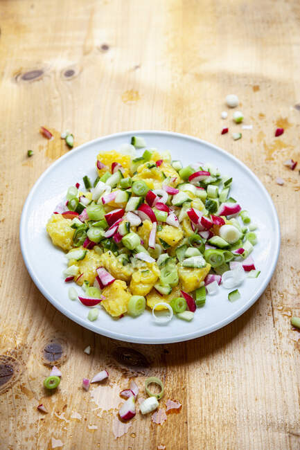 Salade de pommes de terre aux radis, concombres et oignons de printemps — Photo de stock