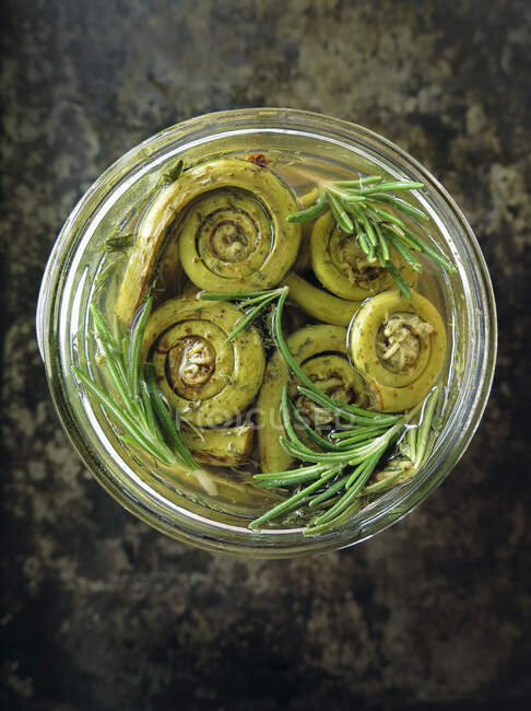 Preserved fiddleheads with rosemary — Stock Photo