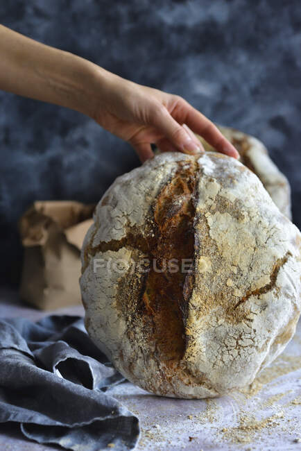 Mains tenant une miche de pain au levain fraîchement cuit — Photo de stock