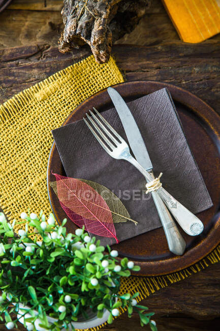 Rustic spring place setting decorated with leaves and green plants — Stock Photo