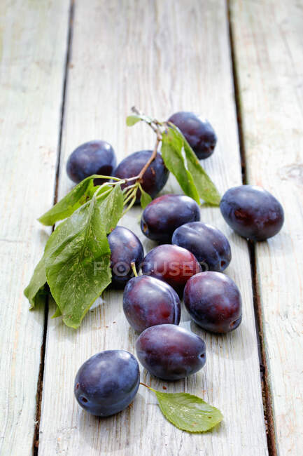 Close-up shot of delicious Plums with twigs and leaves — Stock Photo