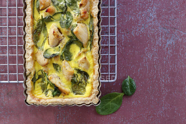 Tart with spinach and pieces of chicken — Stock Photo