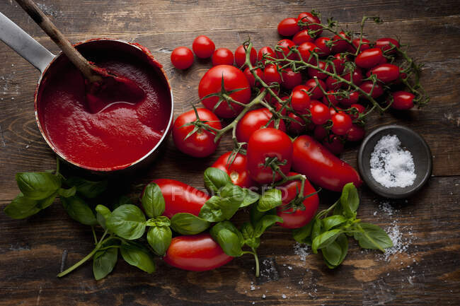 Salsa de tomate con ingredientes - foto de stock