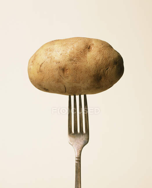Patata su una forchetta — Foto stock
