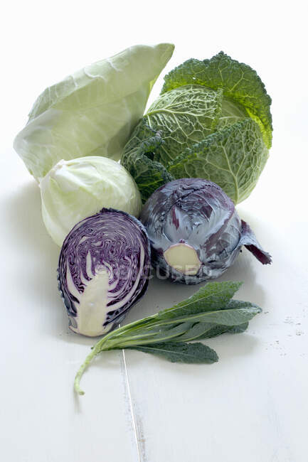 Different types of cabbage — Stock Photo